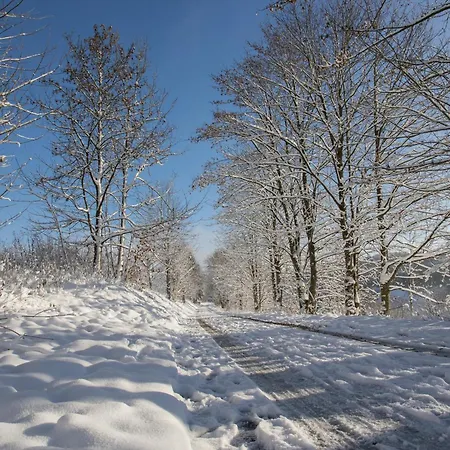 Welcome In - 10-h Im Zentrum Mit Balkon, Kostenlose Parkplaetze شقة *